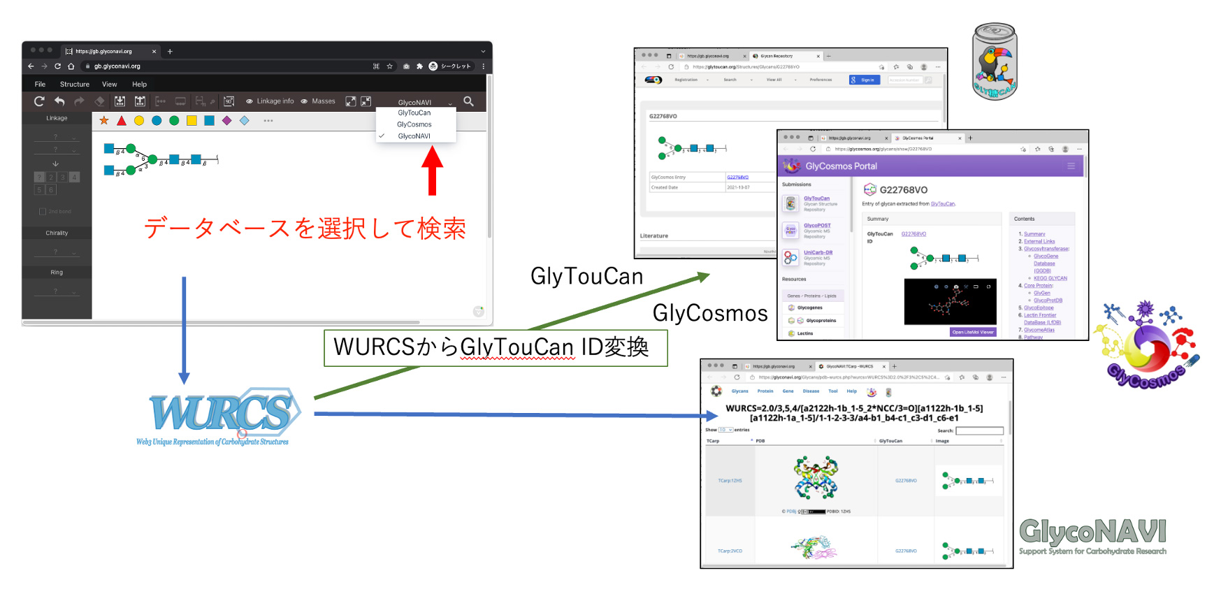 GlycanBuilder2Webによるデータベース検索
