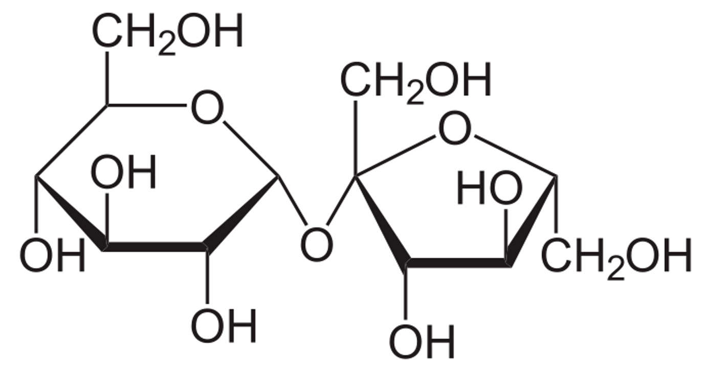 スクロース（ショ糖）の化学構造式